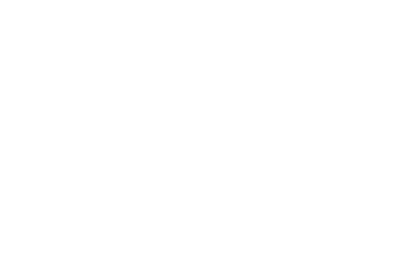 ppiLogoW
